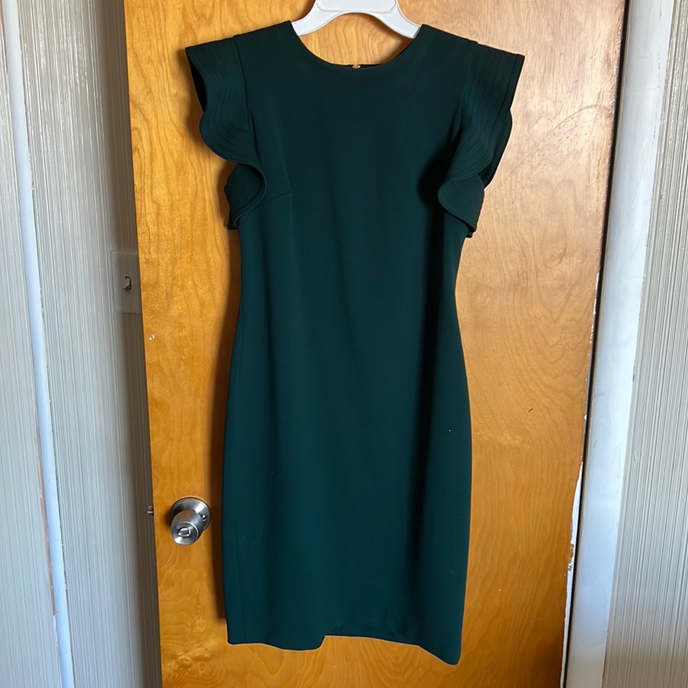 Calvin Klein Green Dress With Accent Sleeves and Gold Zipper Back